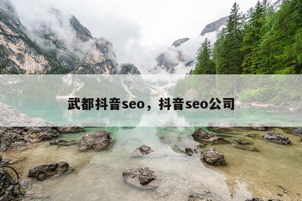 武都抖音seo,抖音seo公司