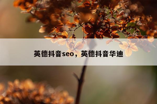 英德抖音seo,英德抖音华迪