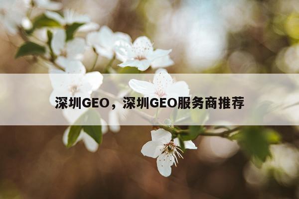 深圳GEO,深圳GEO服务商推荐