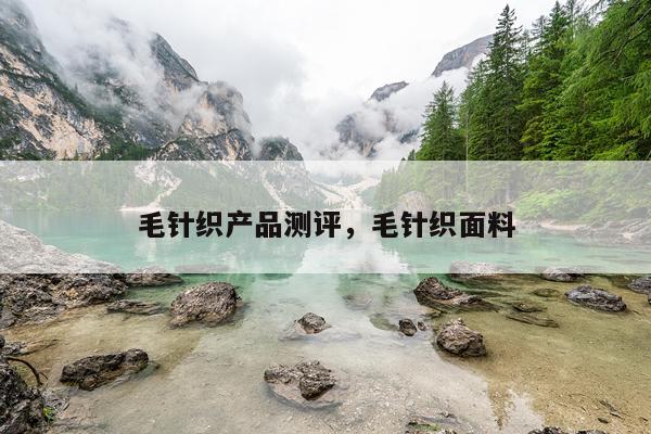 毛针织产品测评,毛针织面料