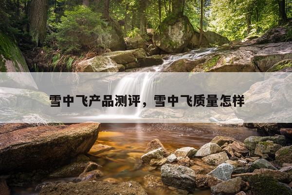 雪中飞产品测评,雪中飞质量怎样