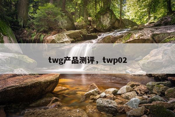 twg产品测评,twp02