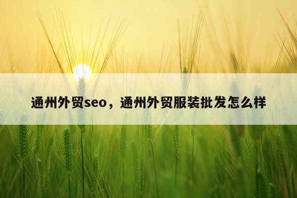 通州外贸seo,通州外贸服装批发怎么样