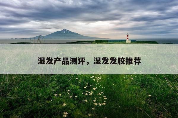 湿发产品测评,湿发发胶推荐