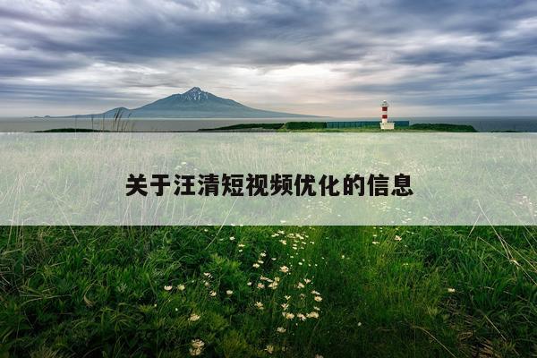 关于汪清短视频优化的信息