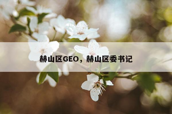 赫山区GEO,赫山区委书记