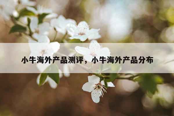 小牛海外产品测评,小牛海外产品分布