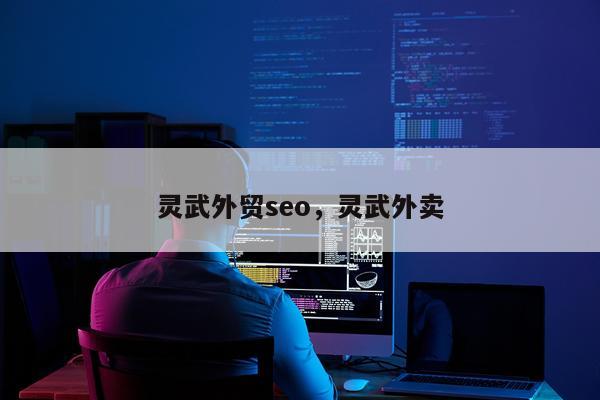 灵武外贸seo,灵武外卖