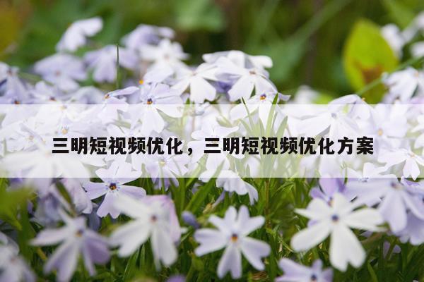 三明短视频优化,三明短视频优化方案