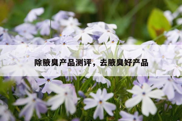 除腋臭产品测评,去腋臭好产品