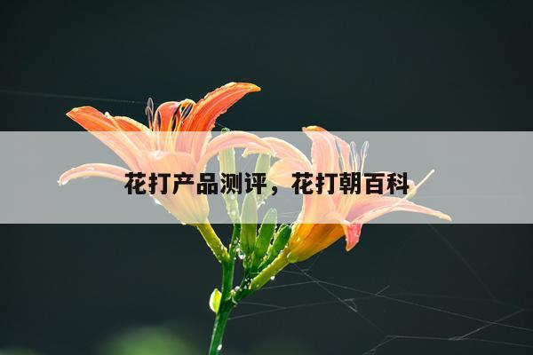 花打产品测评,花打朝百科