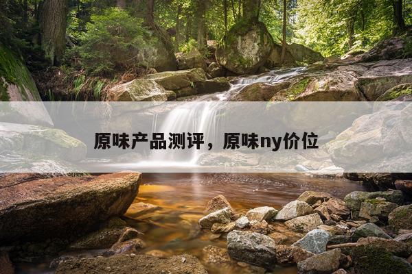原味产品测评,原味ny价位