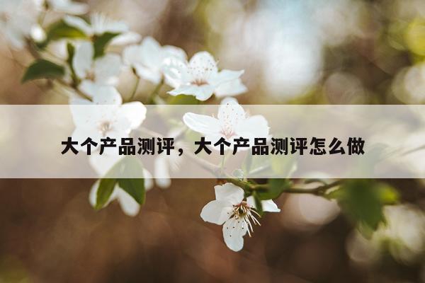 大个产品测评,大个产品测评怎么做