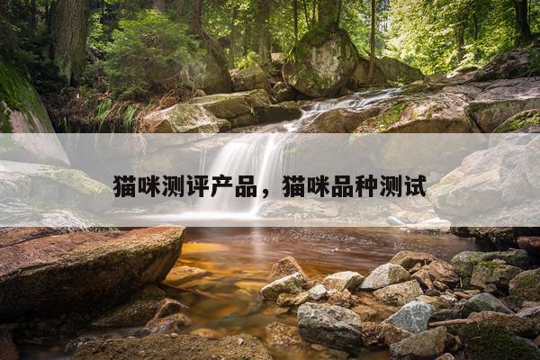 猫咪测评产品,猫咪品种测试