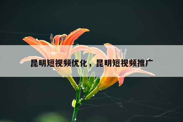 昆明短视频优化,昆明短视频推广