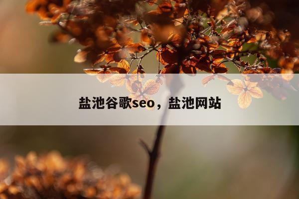 盐池谷歌seo,盐池网站
