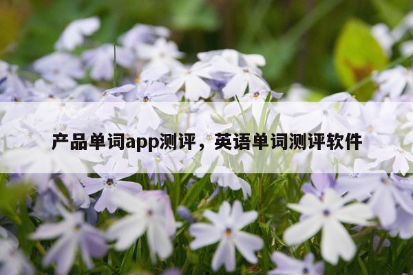 产品单词app测评,英语单词测评软件