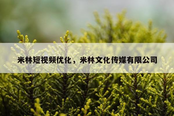 米林短视频优化,米林文化传媒有限公司