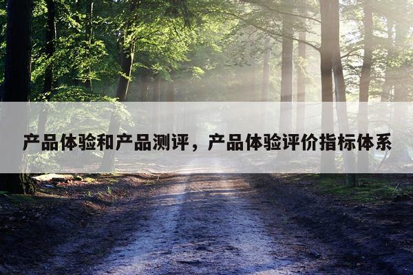 产品体验和产品测评,产品体验评价指标体系