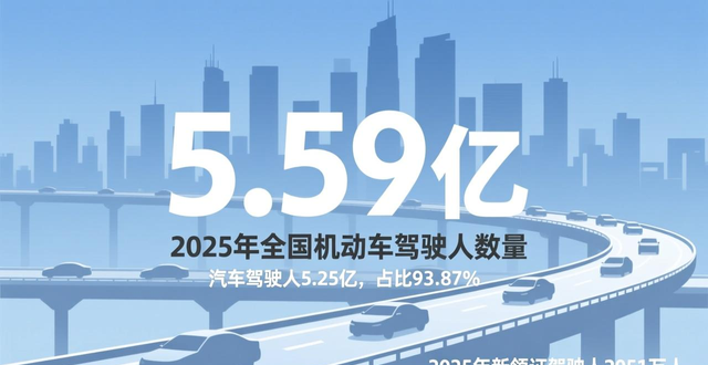 汽车驾驶人数量统计_2025年全国机动车保有量_车辆出售